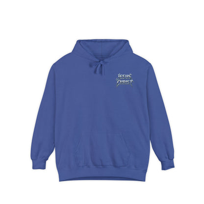 'Jesus On Tour' Hoodie